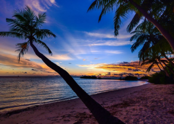 4 Langkah Sederhana Membangun Kebiasaan