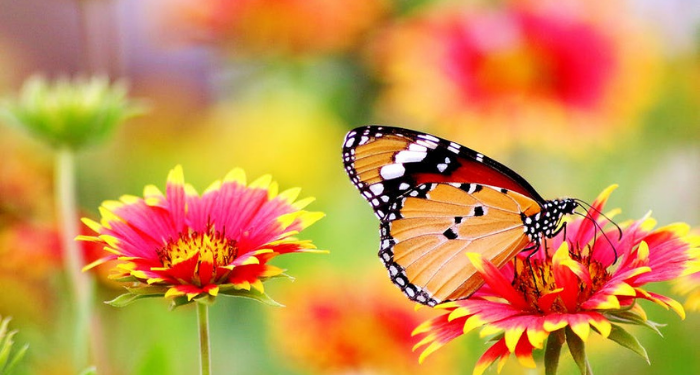 Kita bersama dengan Apa yang Kita Cintai