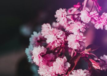 3 Cara Mendapatkan Ampunan Allah