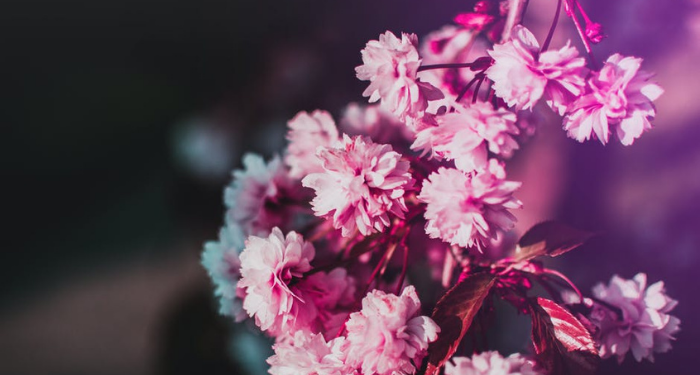 3 Cara Mendapatkan Ampunan Allah