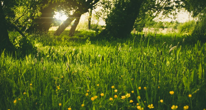 Tafsir Al-An’am Ayat 162 dan 163