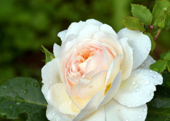 3 Hal yang Bisa Dilakukan di Bulan Rajab