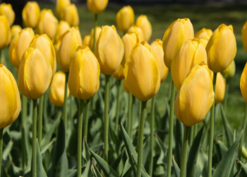 Api Akhirat Lebih Pantas untuk Ditakuti