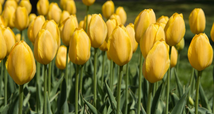 Api Akhirat Lebih Pantas untuk Ditakuti