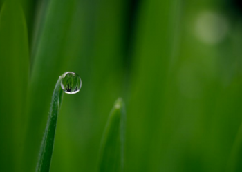 2 Amalan agar Mendapat Syafaat Rasulullah