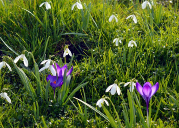 Amalan-amalan Penghapus Dosa