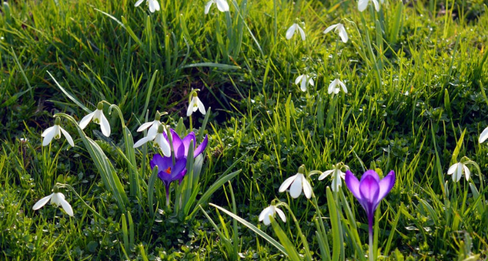 Amalan-amalan Penghapus Dosa