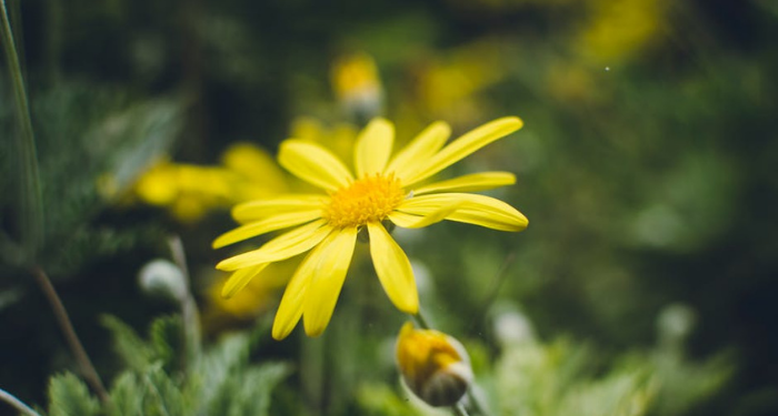 Syarat-syarat Diperbolehkan Ruqyah