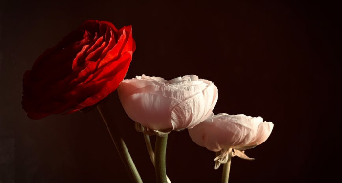 Cara Bergaul dengan Lawan Jenis