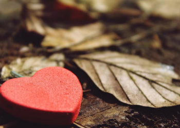 6 Cara Mendapatkan Ketenangan Hidup