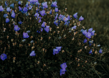 6 Cara agar Rajin Beramal Saleh