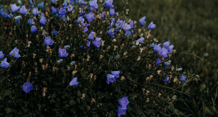 6 Cara agar Rajin Beramal Saleh