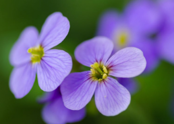 30 Cara Selamat dari Maksiat