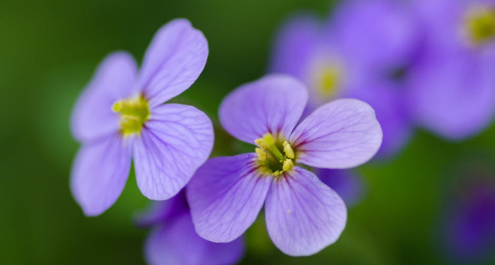 30 Cara Selamat dari Maksiat