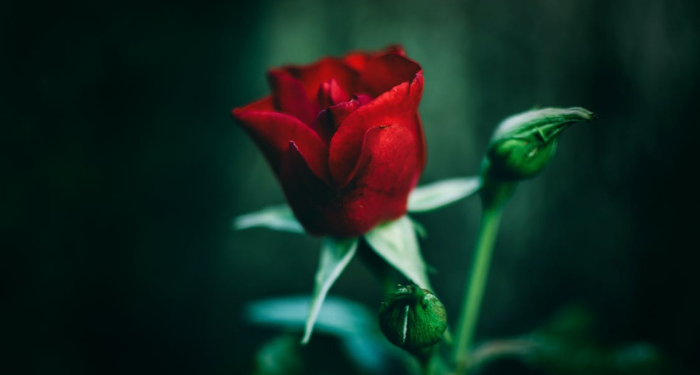 3 Alasan Allah Menciptakan Manusia