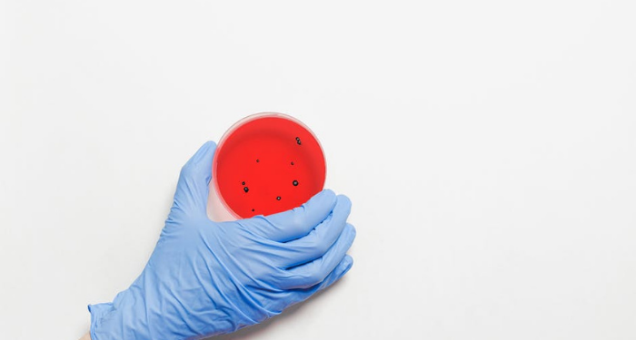 Kisah Umar bin Khattab Menghindari Tempat yang Penuh Wabah Penyakit