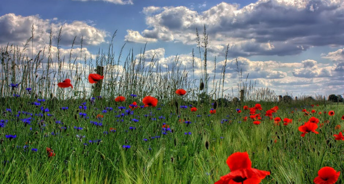 Kedudukan Seseorang di Surga Berdasarkan Amalannya