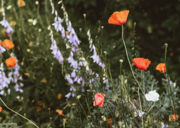 Doa Memohon Pertolongan Allah