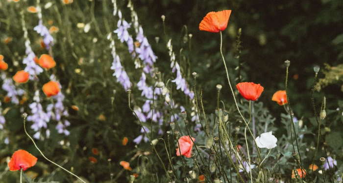 Doa Memohon Pertolongan Allah