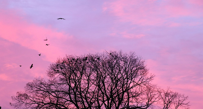 Al-Baqoroh 270: Kewajiban Menunaikan Nazar