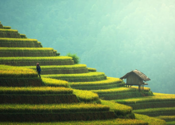 Mengenal Fasilitasi Bidang Kebudayaan, Bantuan Pendanaan untuk Komunitas Kebudayaan