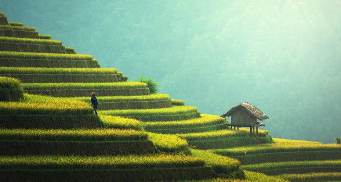 Mengenal Fasilitasi Bidang Kebudayaan, Bantuan Pendanaan untuk Komunitas Kebudayaan