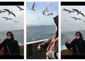 Berdusta Pada Burung