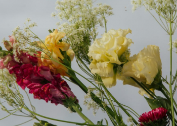 Belajar Kesabaran dari Nabi Ayub