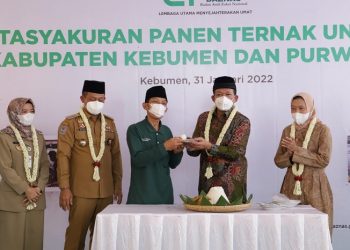 BAZNAS Beri Pendampingan kepada Balai Ternak Kelompok Unggas