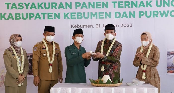 BAZNAS Beri Pendampingan kepada Balai Ternak Kelompok Unggas