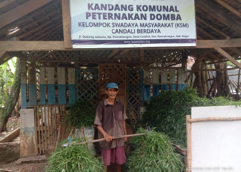 Cerita Abah Wasman yang Tetap Semangat Beternak di Usia Senja