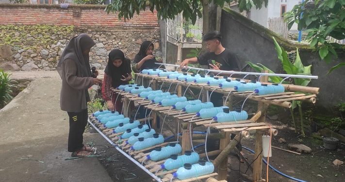 Mahasiswa KKN Unram Bantu Masyarakat Optimalkan Pekarangan dengan Konsep Rumah Pangan Lestari