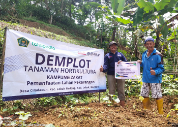 Kisah Mbah Warjo, Buruh Pabrik yang Kini Jadi Petani Sejati