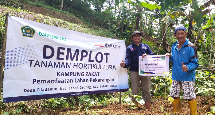 Kisah Mbah Warjo, Buruh Pabrik yang Kini Jadi Petani Sejati