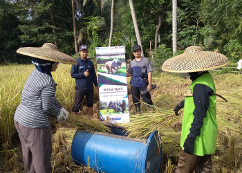 Berkah Zakat, Hasil Panen Ahyani Kini Meningkat Dua Kali Lipat
