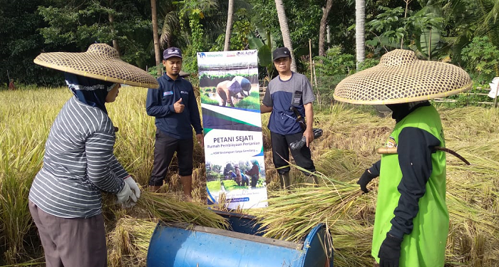 Berkah Zakat, Hasil Panen Ahyani Kini Meningkat Dua Kali Lipat