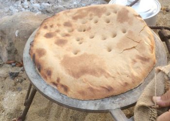 Warga Saudi Nikmati Memasak Hidangan Daerah Secara Tradisional Ketika Berkemah di Hutan