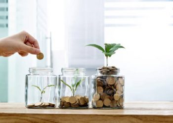 5 Tips Investasi untuk Pemula yang Harus Diketahui