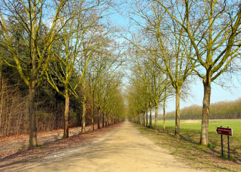 Seberapa Besar Usahamu Untuk Istiqomah Beramal Shalih?