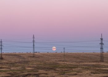 Anak Cerdas Menghafal Al-Qur'an