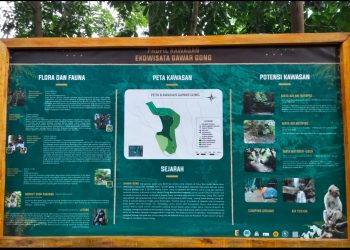 Kini, Kawasan Ekowisata Gawar Gong Punya Profil Kawasan