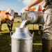 Hati-Hati Bunda, Jangan Beri Anak-Anak Raw Milk!