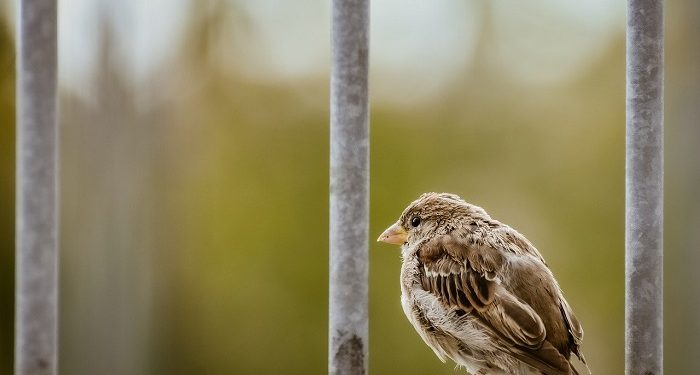 4 Bukti Mencintai Kebaikan