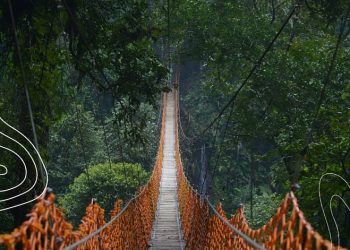 Flying Fox Situ Gunung Suspension Bridge yang Lagi Viral