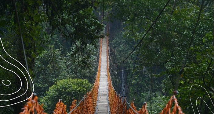 Flying Fox Situ Gunung Suspension Bridge yang Lagi Viral