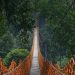 Flying Fox Situ Gunung Suspension Bridge yang Lagi Viral