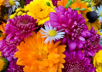 Pasangan yang Tak Sesuai Harapan