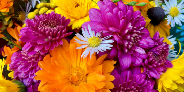 Pasangan yang Tak Sesuai Harapan