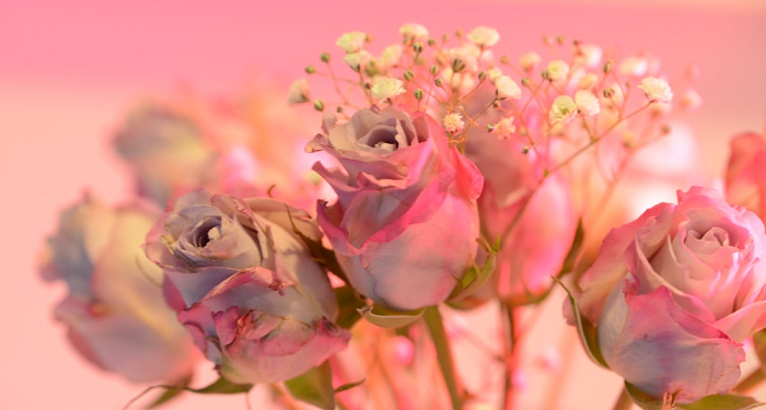 Pengakuan Nabi atas Kedermawanan Zainab binti Jahsy