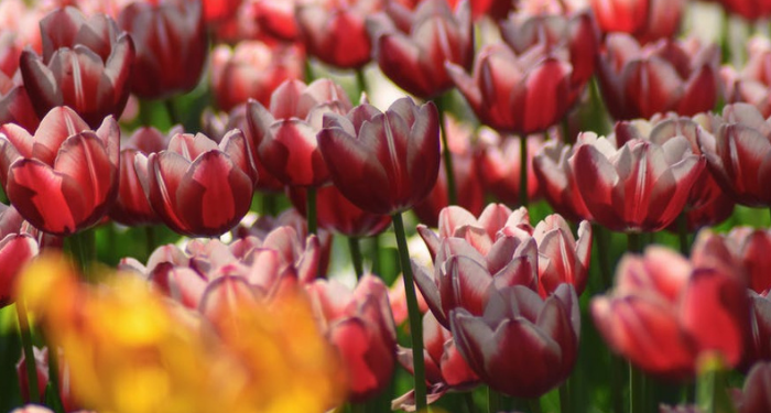 Cara Ampuh untuk Memperbaiki Diri